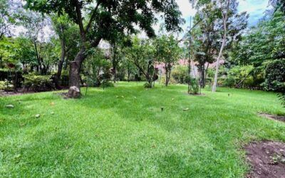 Terreno Venta Jocotan Zapopan