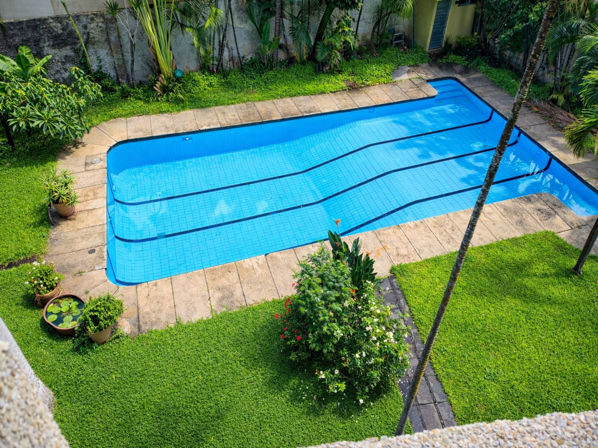 Departamento Renta Vallarta Poniente Guadalajara