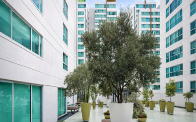 Departamento Venta Ayuntamiento Guadalajara