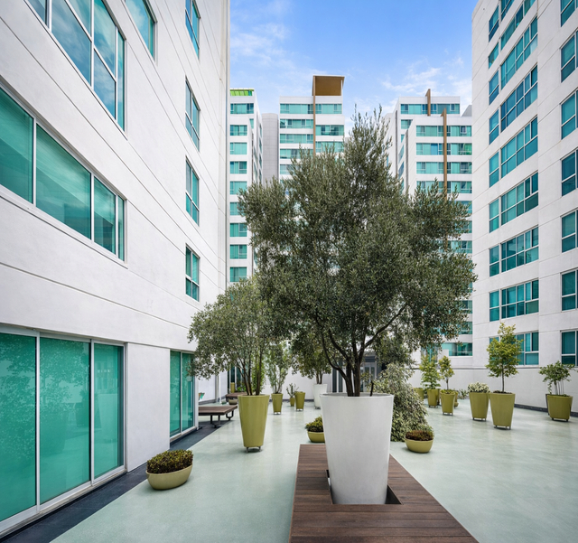 Departamento Venta Ayuntamiento Guadalajara