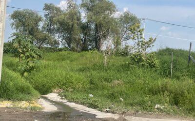 Terreno Venta Santa Cruz del Valle Tlaquepaque